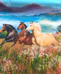 stenzo digitale katenen tricot galopperende paarden